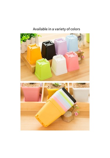 Mini Renkli Saksılar, Plastik Saksılar, Etli Bitki Saksıları Rastgele Renkler