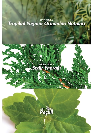 Avon Musk+ Instinct Erkek Parfüm EDT 75 ML