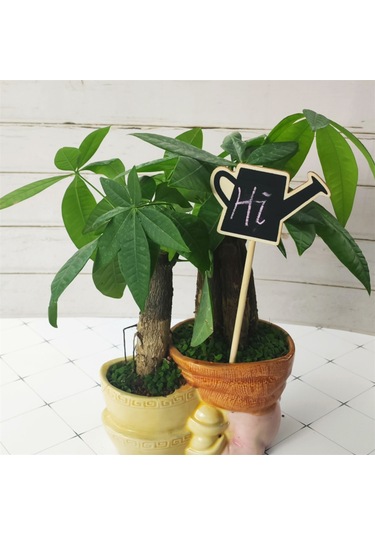 Lebihmurah 2579 Bitki İşaret Etiketleri Kararlı Farklı Şekil Bahçe Kara Tahtasında Yaygın Olarak Kullanılır