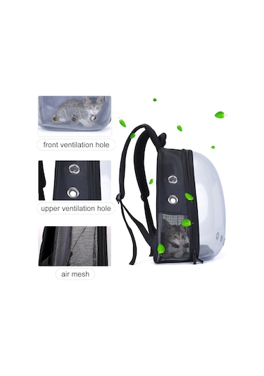 Springsun Yetişkinler, Gençler, Kampüs Sırt Çantaları, Yürüyüş, Tuval Okul Çantası İçin Aydınlık Sırt Çantaları Benzersiz Tasarım