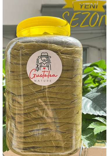 Gustolea Nature Manisa Sultaniye İlk Hasat İnce Damarsız Salamura Uç Asma Yaprağı 2025  Yeni Sezon