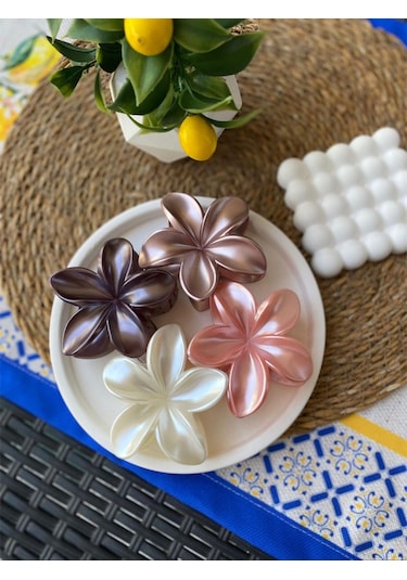 4'lü Set Pastel Mat Renk Lotus Toka Çok Renkli