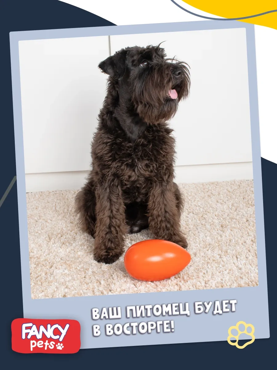 Fancy Pets Köpekler İçin Oyuncak Yakalanması Zor Yumurtka 460778956