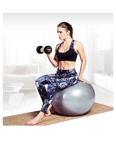 65 Cm Pilates Topu Şişirme Pompalı Plates Denge Yoga Spor Egzer