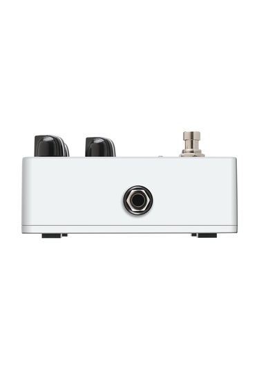 Ampeg Opto Comp Optical Compressor Bas Gitar Pedalı