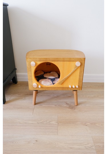 Huncar Kedi Evi Dekoratif Retro Plak Çalar Kedi Evi