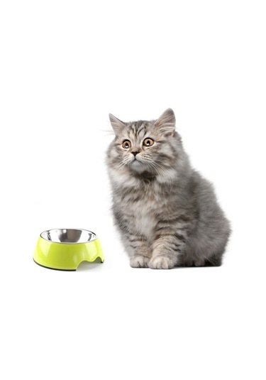 Szypzstore Pet Home Çıkarılabilir Melamin Ve Paslanmaz Çelik Mama Kabı - Beyaz 1npks6