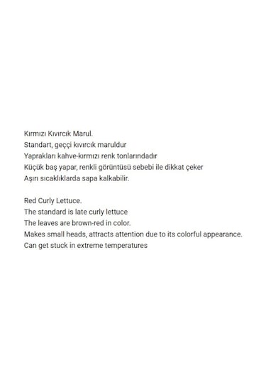 AGRodal Tarım Ata Tohumu Yerli Kırmızı Marul 1000 Adet Tohum