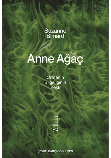 Anne Ağaç 9786257118842