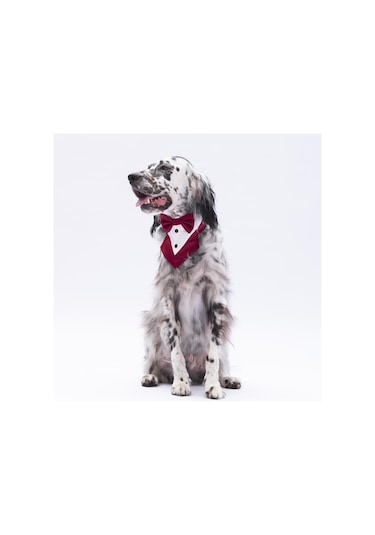 Pawstar Bordo Smokin Kedi Köpek Fuları Pet Bandanası
