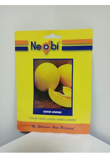 Neobi Ananas Kavun 10 Gr 1 Adet