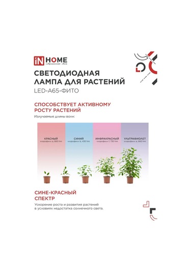 In Home Bitkiler Ve Fideler İçin Fitolamp 25w A65 E27 2 Adet 338873116 Mavi-kırmızı