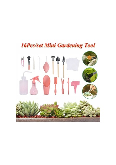16 Parça Suculant Nakil Ekipman Seti Çiçek Bahçeciliği Mini Bahçe Malzemeleri Etli Saksı Bitkileri Pembe