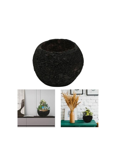 Pazly Uzay Suntek Soyut Saksı Reçine Göktaşı Etli Uw