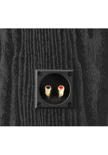 Dali Alteco C-1 Dolby Atmos Duvar Tipi Hoparlör Ceviz