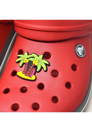 Crocs Terlik Süsü & Renkli Aksesuar Jibbitz (474782017)