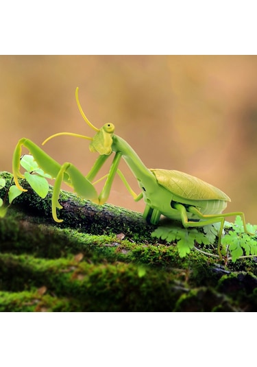 Sunman Uzaktan Kumandalı Mantis