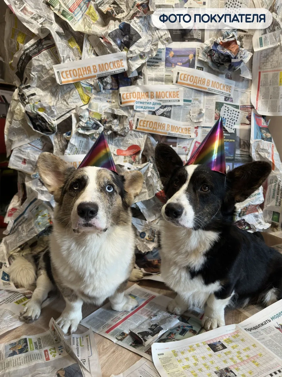 Riota Doğum Günü İçin Parti Şapkaları 6 Adet 140340745