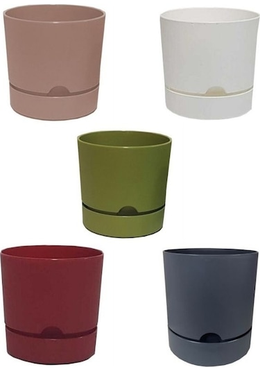 5 Adet Polıwork Saksı Begonya 15 Cm