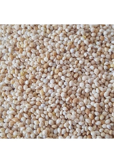 Ak Darı Muhabbet Kuşu Yemi 1 KG