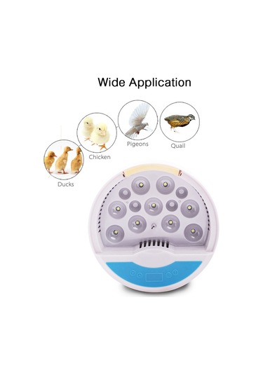 Geeksen Dijital Yumurta Kuluçka Makinesi Otomatik Sıcaklık Kontrolü Büyüme Gözlemlemek İçin Led Iş Kuluçka Makinesi