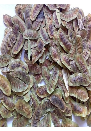 Orköy Doğal Aşlık Otu 100 Gr Açlık Otu