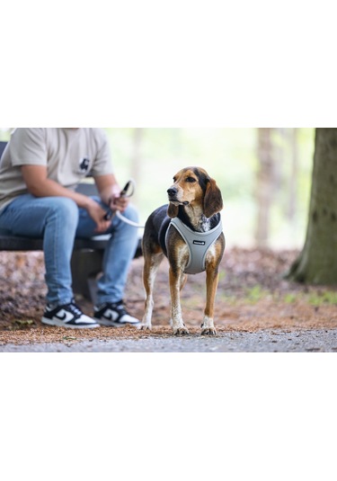 Beeztees Köpek Göğüs Tasması, Neopren,gri, M, 41-46cm Çok Renkli