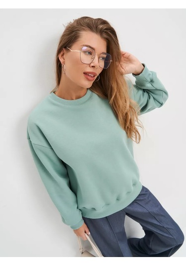 Avese Kapüşonlu Sweatshirt Büyük Beden Pamuklu Kumaş 246044906 Naneli