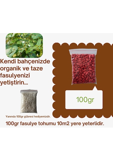 Alman Ayşe Fasulye Tohumu 100gr + 100gr Gübre Ort:200 Adet