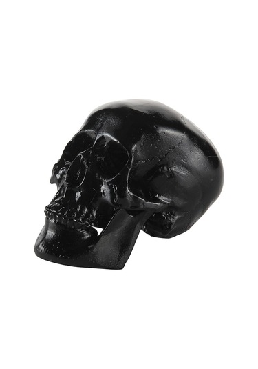 Suntek Reçine Çoğaltma Sanat İnsan Kafatası Modeli Parti