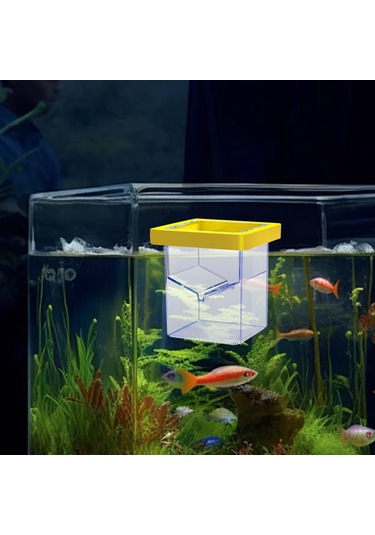 Suntek Yüzen Balık Yetiştirici Kutusu Palyaço Balığı