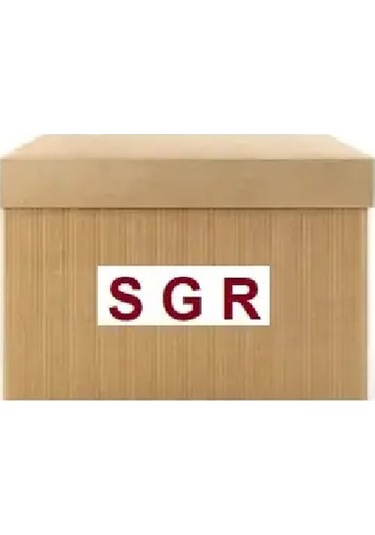 Sgr 56387 Silecek Motoru 288004287r