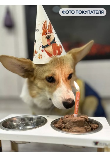 Riota Parti Şapkası Corgi Doğum Günü Kutlaması 16 Cm 6 Adet 209740833