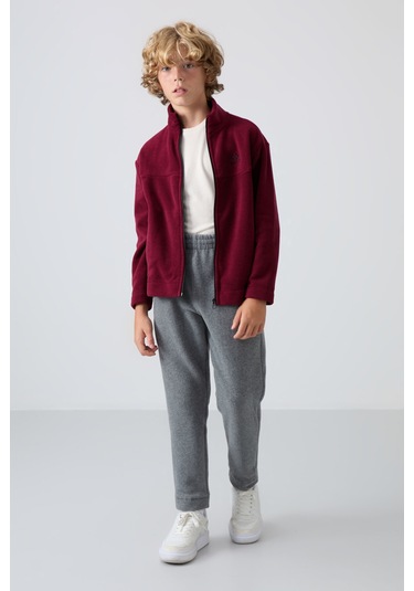 Tommy Life Erguvan Kalın Yumuşak Dokulu Standart Fit Nakışlı Polar Erkek Çocuk Sweatshirt - 11223 Mor