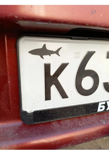 Kriart Plaka Etiketi "köpekbalığı" Place This On All Plaka Etiketi Sticker Art Locally Place This On All Sticker Art