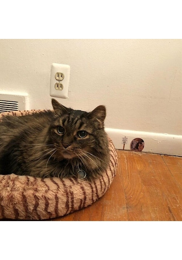 Komik Fare Deliği Duvar Çıkartmaları Yatak Odası Mutfak Süpürgelik Ev Dekorasyon 3d Vi Çıkartmaları Diy Duvar Sticker Dğ. 55013255 Diğer