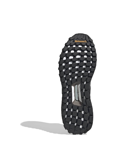 Cblack/sılvmt/earstr Adidas Kadın Günlük Spor Ayakkabı Ultraboost 1.0 Atr 25 Jp7794 Siyah