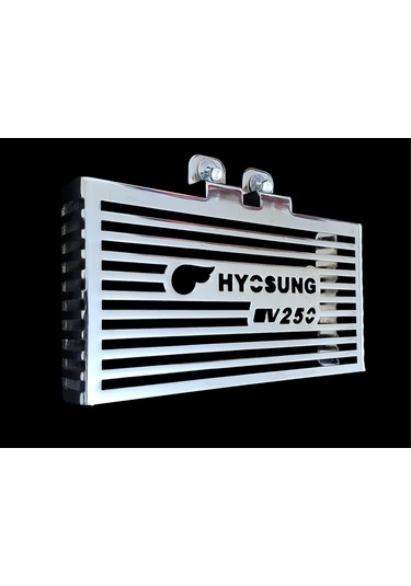 Hyosung Gv 250 Radyator Koruma