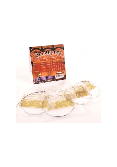 Keman Teli Takım Dominguez-Dvs009