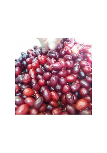 Şifa Gıda Donmuş Kızılcık Meyvesi 2 KG