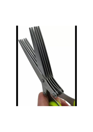 Youmex Yeşil 5 Bıçaklı Nane, Kereviz, Fesleğen Kesici Bıçak - Paslanmaz Çelik, Kaygan Korumalı Kollü, Temizlik Fırçası İçeren Mutfak Makinesi Diğer