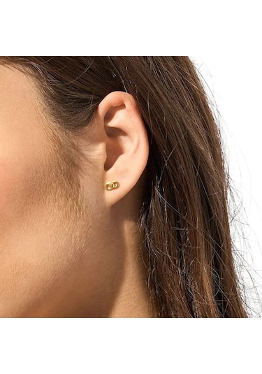 Michael Kors MKC173900-710 Kadın Küpe Çok Renkli