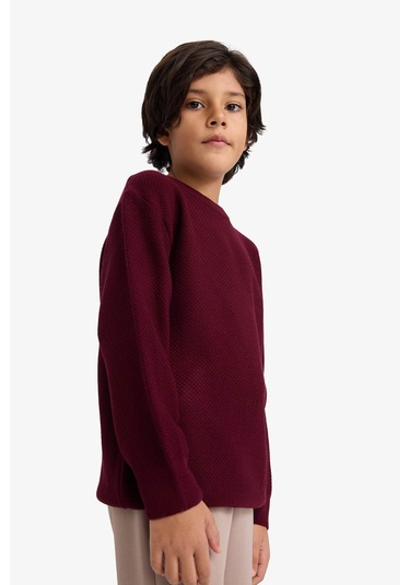 Defacto Erkek Çocuk Bisiklet Yaka Triko Kazak G5563a825wnbr464 Bordo-br464