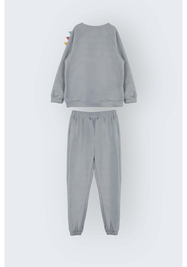 Luess Dinazor Nakışlı Pamuklu Erkek Çocuk Alt Üst Takım - Gri