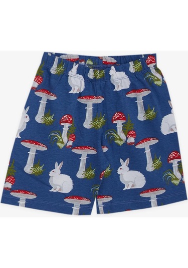 Breeze Kız Bebek Pijama Takımı Doğa Temalı Tavşancık Desenli 9 Ay-3 Yaş, Mavi-mavi Mavi