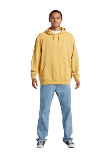 Quiksilver Salt Water Hoodie Erkek Sweatshirt Renkli
