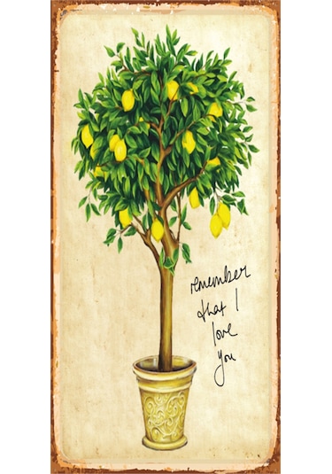 saksıdaki limon ağacı mini retro ahşap poster