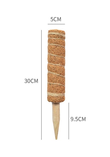 Padalink Bitkisel Tüp İçin 30cm Yüksekliği Ayarlanabilir, Su Ve Besin Tutan, Dayanıklı Hindistan Cevizi Lifli Ve Ahşaplı Tırmanan Bitki Tutucu Seti