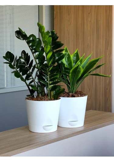 Interm Büyük Çiçek Saksısı, 5.6 L'den 2 Adet. 182711331