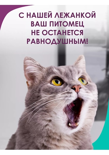 Bio-line Küçük Ve Orta Irk Kediler Ve Köpekler İçin Yatak 186898718